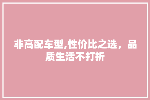 非高配车型,性价比之选，品质生活不打折