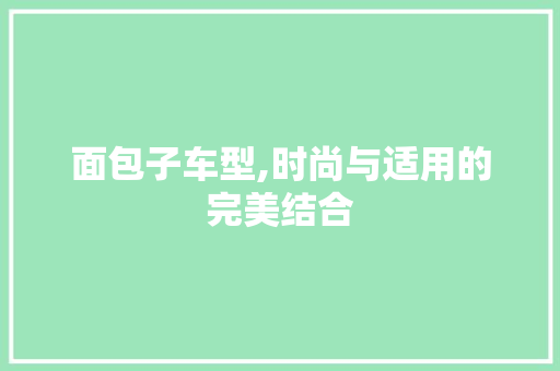 面包子车型,时尚与适用的完美结合