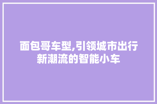 面包哥车型,引领城市出行新潮流的智能小车