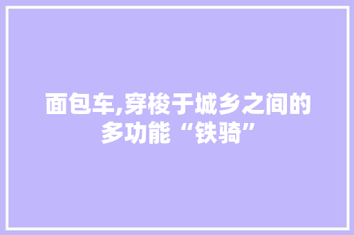 面包车,穿梭于城乡之间的多功能“铁骑”