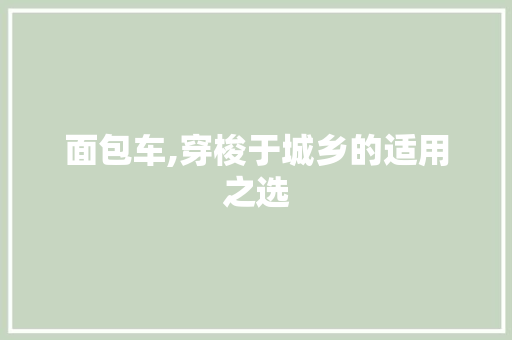 面包车,穿梭于城乡的适用之选