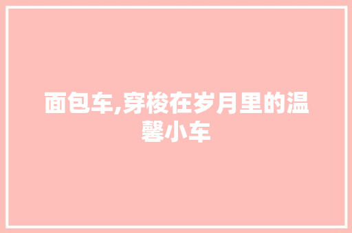 面包车,穿梭在岁月里的温馨小车