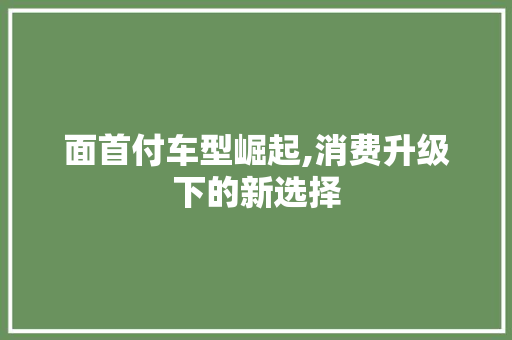 面首付车型崛起,消费升级下的新选择