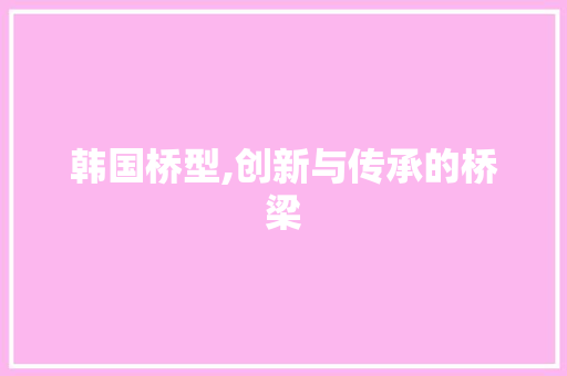 韩国桥型,创新与传承的桥梁