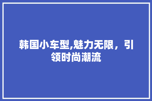 韩国小车型,魅力无限，引领时尚潮流