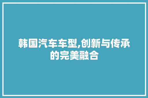 韩国汽车车型,创新与传承的完美融合