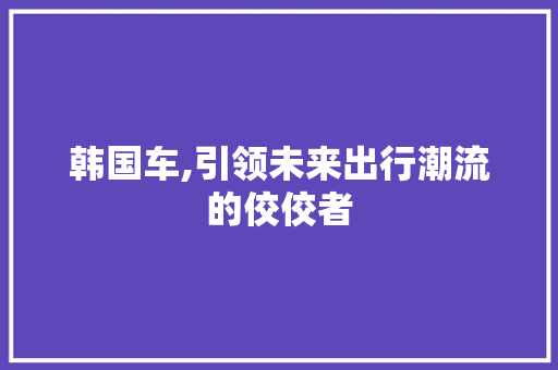 韩国车,引领未来出行潮流的佼佼者