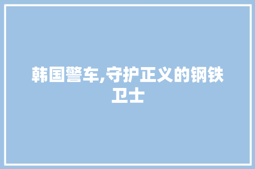 韩国警车,守护正义的钢铁卫士