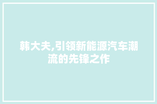 韩大夫,引领新能源汽车潮流的先锋之作