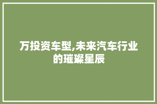 万投资车型,未来汽车行业的璀璨星辰