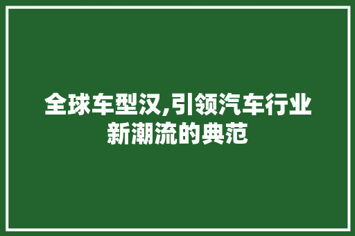 全球车型汉,引领汽车行业新潮流的典范