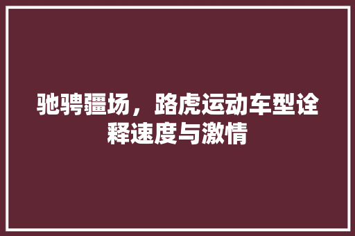 驰骋疆场，路虎运动车型诠释速度与激情