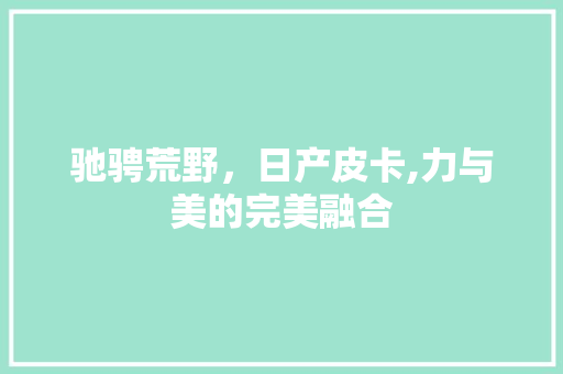 驰骋荒野，日产皮卡,力与美的完美融合