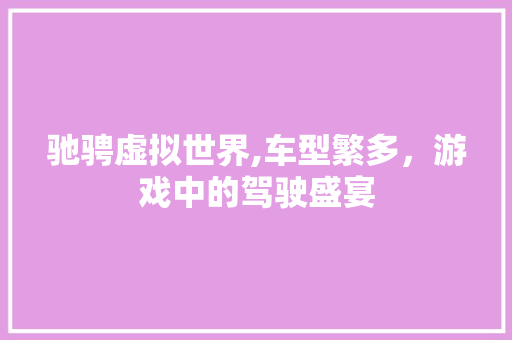 驰骋虚拟世界,车型繁多，游戏中的驾驶盛宴