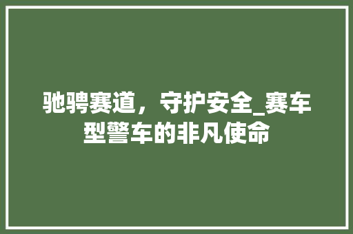 驰骋赛道，守护安全_赛车型警车的非凡使命