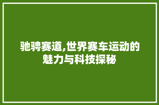 驰骋赛道,世界赛车运动的魅力与科技探秘