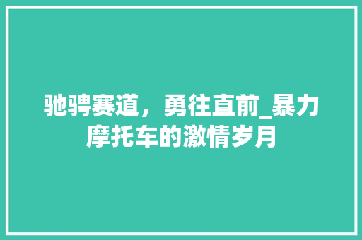 驰骋赛道，勇往直前_暴力摩托车的激情岁月