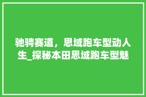 驰骋赛道，思域跑车型动人生_探秘本田思域跑车型魅力