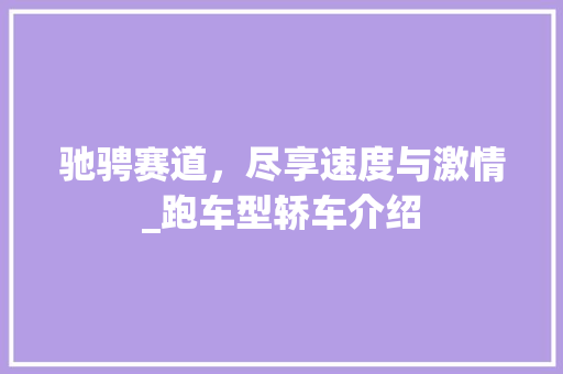 驰骋赛道，尽享速度与激情_跑车型轿车介绍