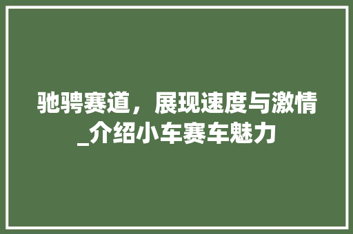 驰骋赛道，展现速度与激情_介绍小车赛车魅力