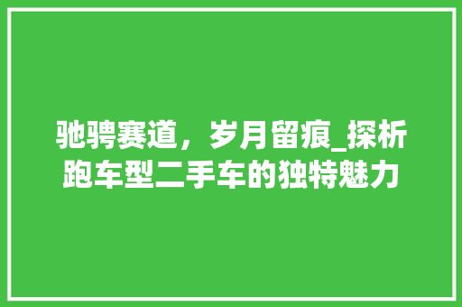 驰骋赛道，岁月留痕_探析跑车型二手车的独特魅力