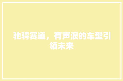 驰骋赛道，有声浪的车型引领未来
