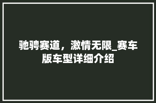 驰骋赛道，激情无限_赛车版车型详细介绍