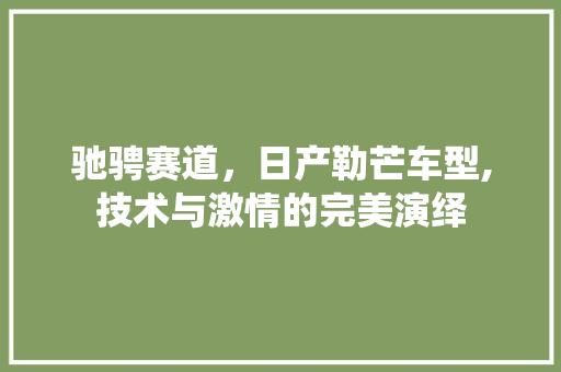 驰骋赛道，日产勒芒车型,技术与激情的完美演绎