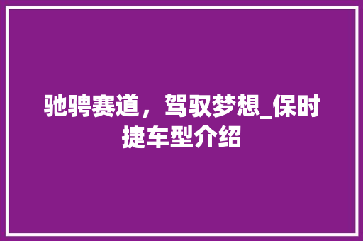 驰骋赛道，驾驭梦想_保时捷车型介绍