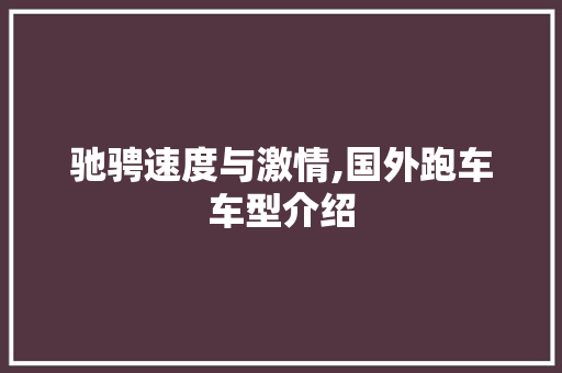 驰骋速度与激情,国外跑车车型介绍
