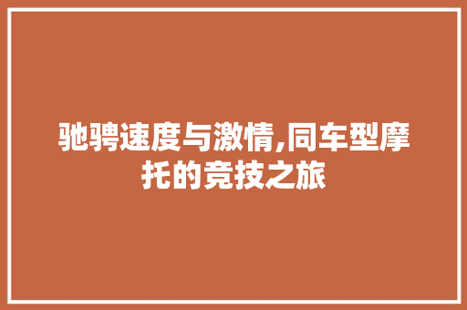 驰骋速度与激情,同车型摩托的竞技之旅