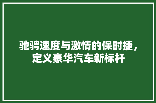 驰骋速度与激情的保时捷，定义豪华汽车新标杆