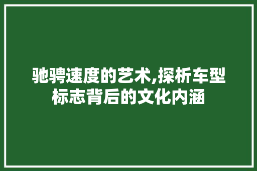 驰骋速度的艺术,探析车型标志背后的文化内涵 变速箱配件