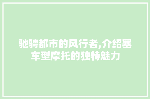 驰骋都市的风行者,介绍塞车型摩托的独特魅力