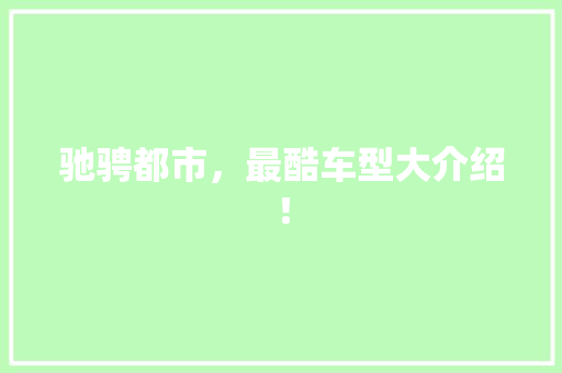 驰骋都市，最酷车型大介绍！