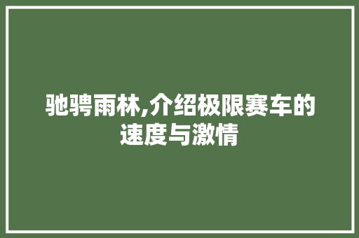 驰骋雨林,介绍极限赛车的速度与激情