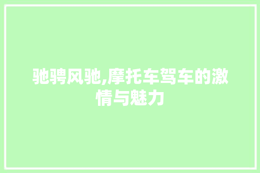 驰骋风驰,摩托车驾车的激情与魅力