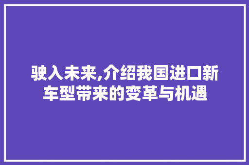 驶入未来,介绍我国进口新车型带来的变革与机遇