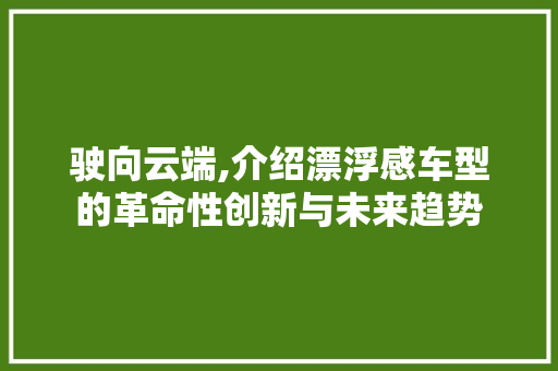 驶向云端,介绍漂浮感车型的革命性创新与未来趋势