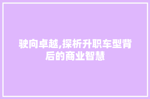 驶向卓越,探析升职车型背后的商业智慧