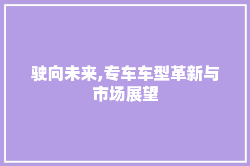 驶向未来,专车车型革新与市场展望 蓄电池配件