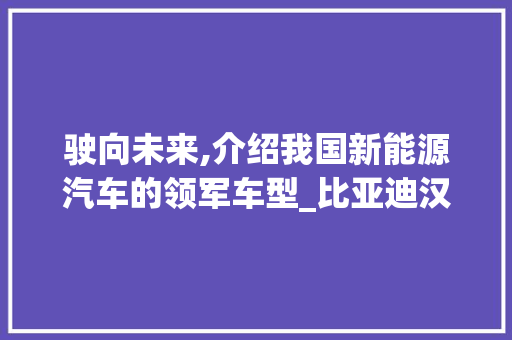 驶向未来,介绍我国新能源汽车的领军车型_比亚迪汉EV