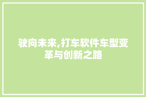 驶向未来,打车软件车型变革与创新之路