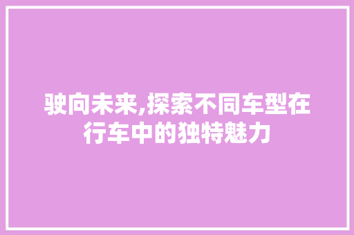 驶向未来,探索不同车型在行车中的独特魅力