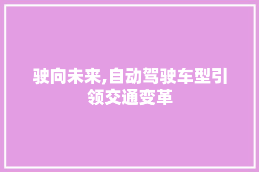 驶向未来,自动驾驶车型引领交通变革