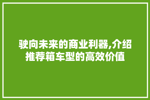 驶向未来的商业利器,介绍推荐箱车型的高效价值