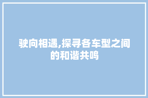 驶向相遇,探寻各车型之间的和谐共鸣