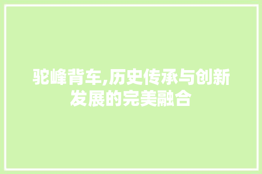 驼峰背车,历史传承与创新发展的完美融合