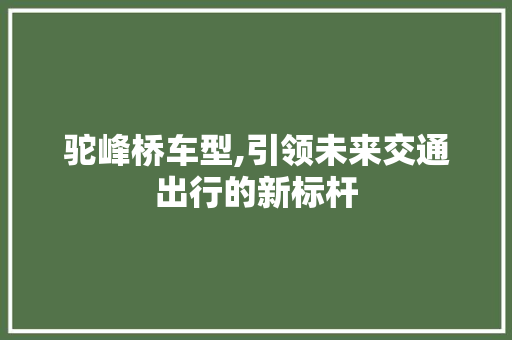 驼峰桥车型,引领未来交通出行的新标杆