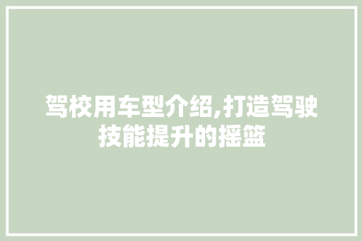 驾校用车型介绍,打造驾驶技能提升的摇篮